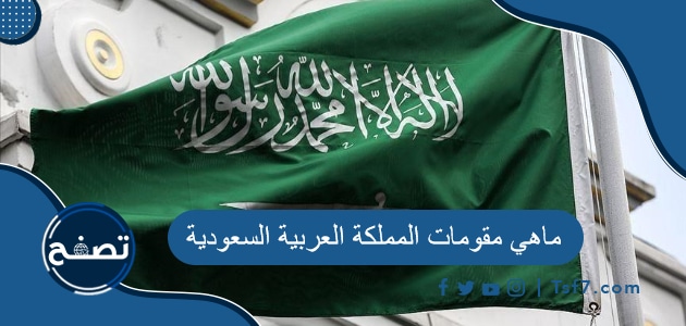 ماهي مقومات المملكة العربية السعودية.. 7 مميزات تعرف عليها