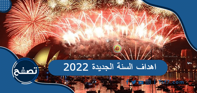 اهداف السنة الجديدة 2022