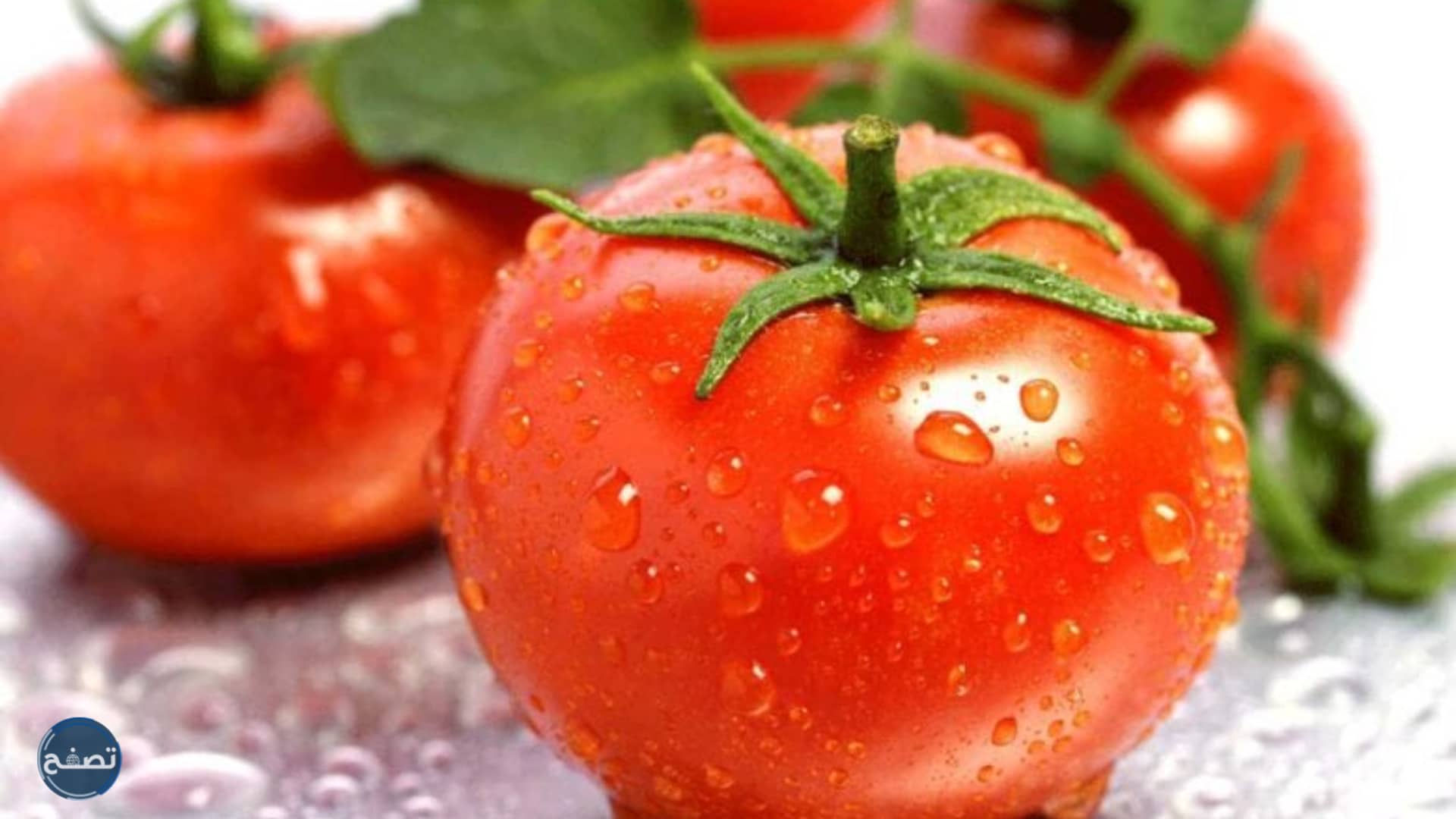 الطماطم في المنام بشارة خير