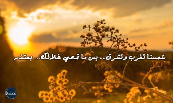 رسالة اعتذار لصديق قصيرة للتعبير