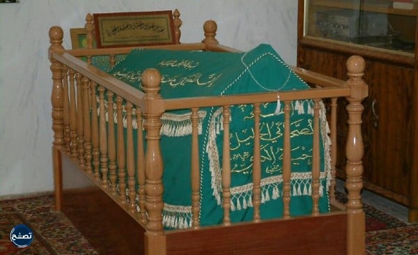 من هو الصحابي الذي نزل جبريل على هيئته