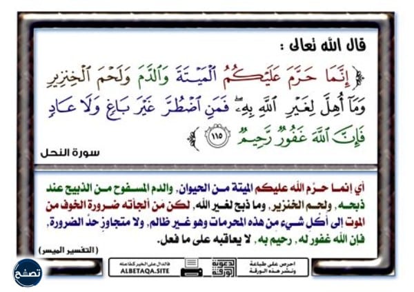 هل يجوز اكل لحم الحصان