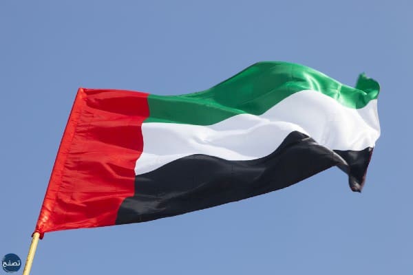 رسمة ليوم العلم الاماراتي