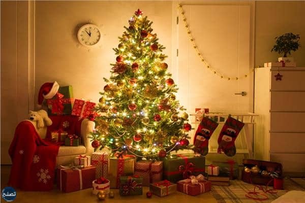 علاقة شجرة الكريسماس بعيد الميلاد
