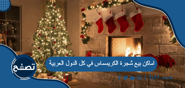 اماكن بيع شجرة الكريسماس في كل الدول العربية