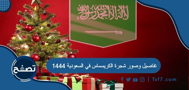 تفاصيل وصور شجرة الكريسماس في السعودية 1444