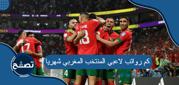 كم رواتب لاعبي المنتخب المغربي شهريا