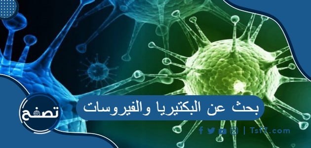 بحث عن البكتيريا والفيروسات pdf