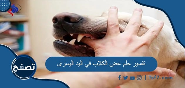 تفسير حلم عض الكلاب في اليد اليسرى
