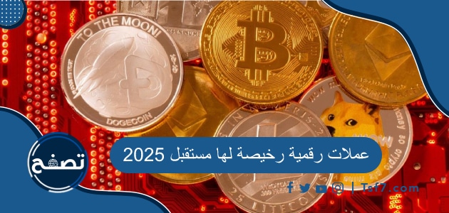 أفضل العملات الرقمية الرخيصة ستجد لها مستقبل مبهر في 2025