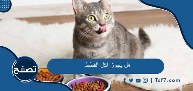 هل يجوز اكل القطط وما هي اللحوم التي يحرم أكلها في الإسلام