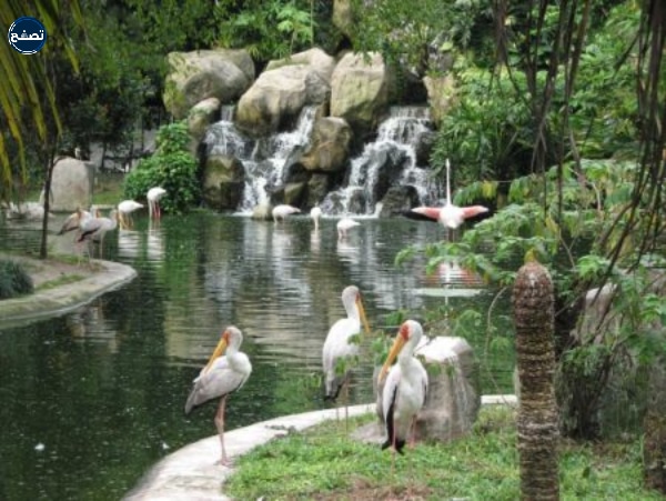 حديقة المواهب للطيور المحمية