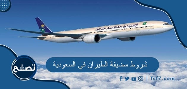 شروط مضيفة الطيران في السعودية وكم راتب مضيف الطيران