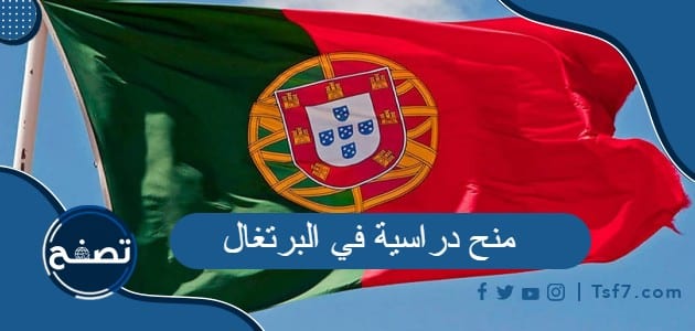 أهم المعلومات عن المنح الدراسية في البرتغال