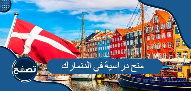 شروط ومعايير وأوراق وتخصصات المنح الدراسية في الدنمارك