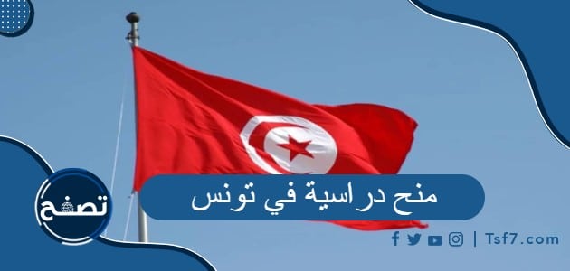 أهم المنح الدراسية في تونس وشروطها وكيفية التقديم عليها