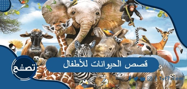 أجمل قصص الحيوانات للأطفال وقصص عن الحيوانات بالإنجليزي للأطفال