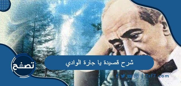 شرح قصيدة يا جارة الوادي لأمير الشعراء أحمد شوقي