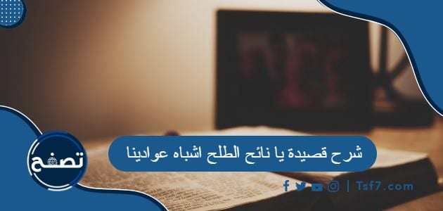 شرح قصيدة يا نائح الطلح اشباه عوادينا لأحمد شوقي