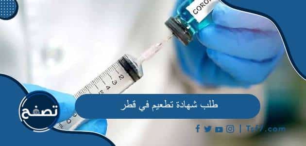 طريقة طلب شهادة تطعيم في قطر بالخطوات والشروط المطلوبة للحصول عليها